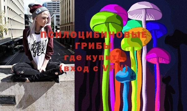 а пвп мука Абаза